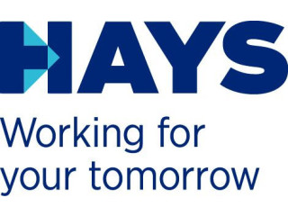 Logo Hays | Sales