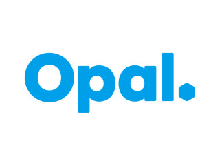 Opal Kiwi Packaging