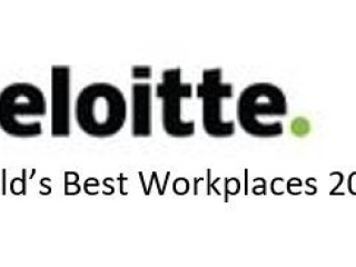 Deloitte - NZ