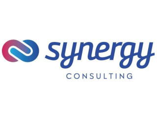 Logo Synergy Consulting Group 2008 Ltd