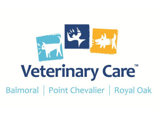 Logo Vets For Pets