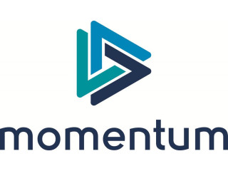 Logo Momentum Consulting Group