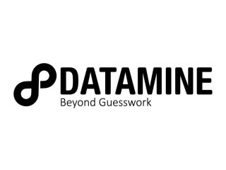 Logo Datamine Limited