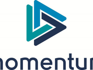 Momentum Consulting Group