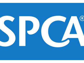 SPCA