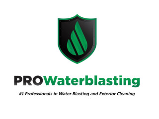 Logo Pro Waterblasting Auckland Limited