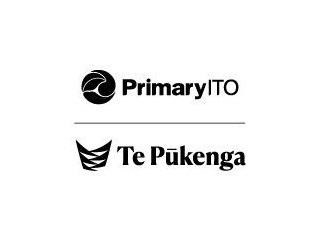Primary ITO | Te Pūkenga