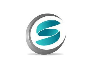 Logo Salexo Consulting