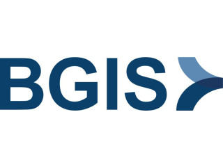 Logo BGIS